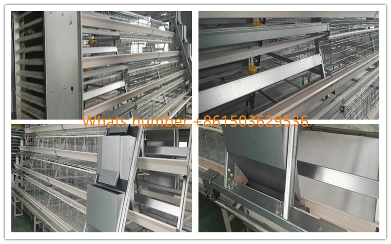 Chicken Cage Equipment for Layer Chicken /Animal Cage