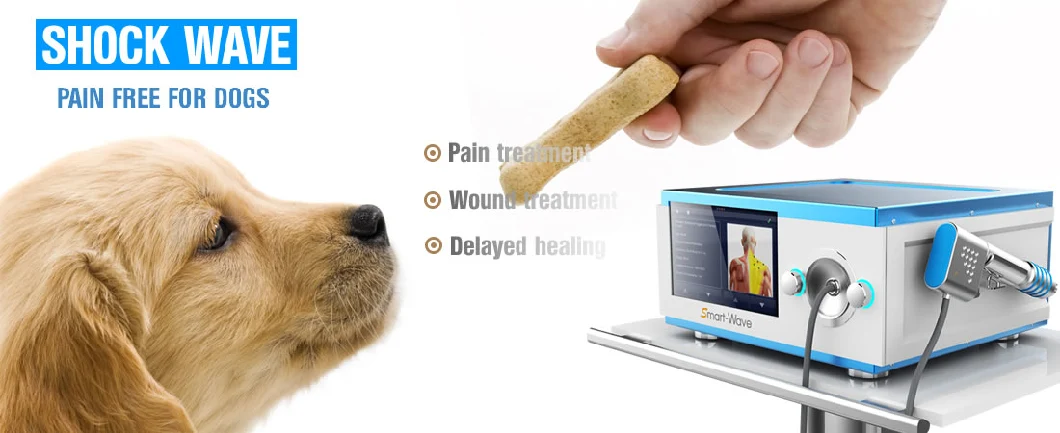 Best Reviews Portable Equine Veterinary Shock Wave Therapy Equipment