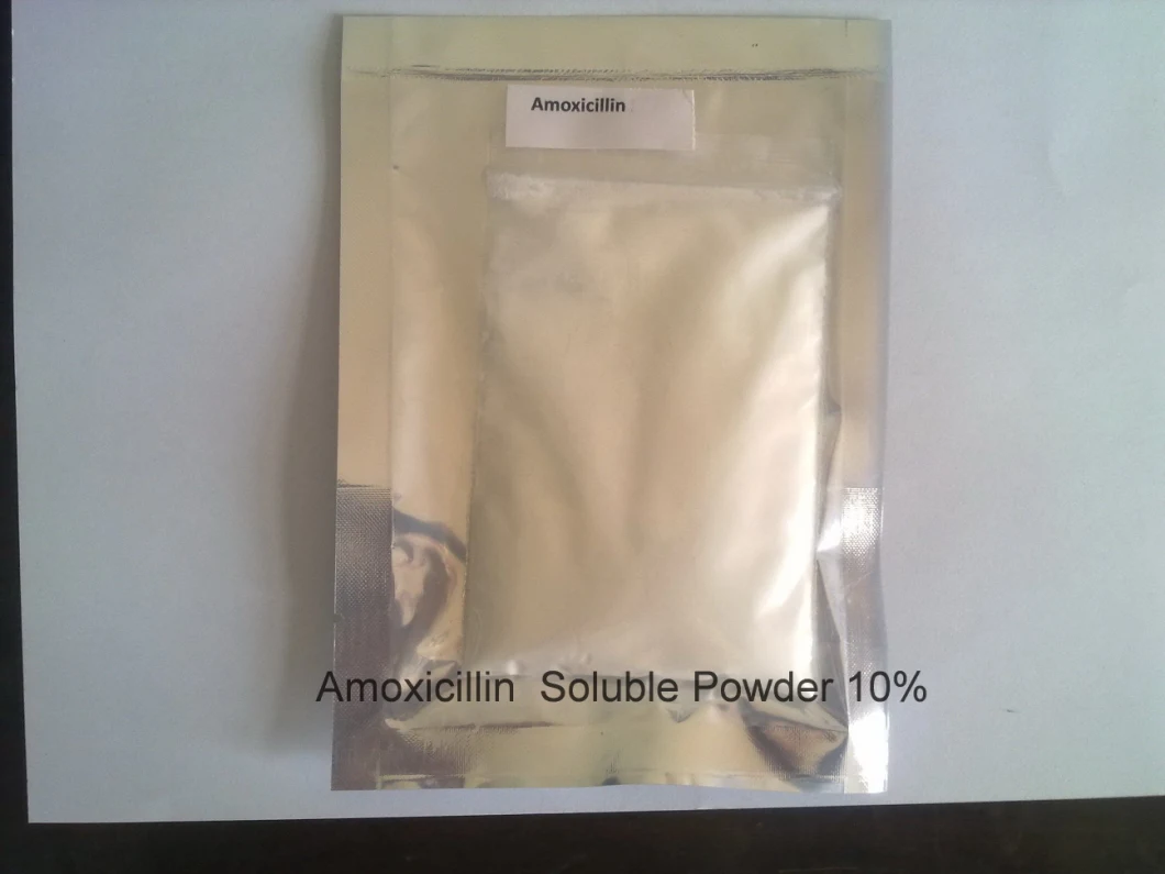 Amoxicillin Soluble Powder 10% 30% 60% Antibiotics