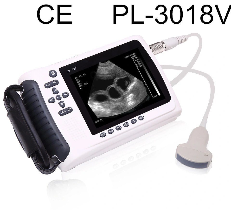 Veterinary Ultrasound Scanners for Equine/Cows/Sheep