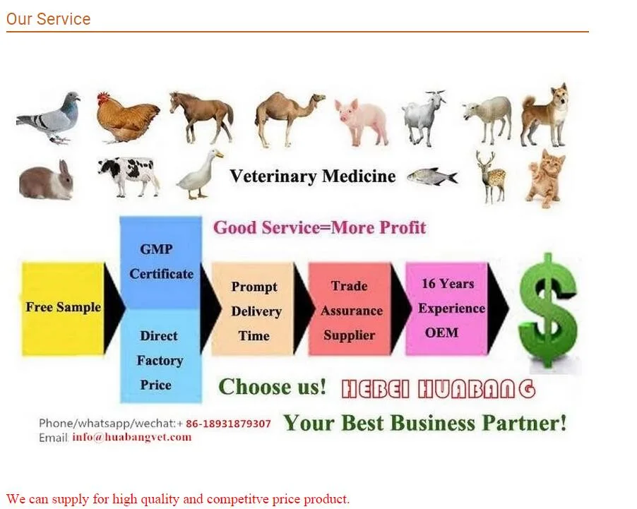 Mulitivitamin Injection Animal Drugs with GMP Certification Factory Register
