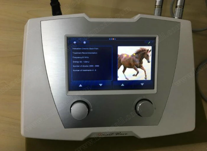 Smartwave Portable Equine Veterinary Shock Wave Therapy Equipment for Horse