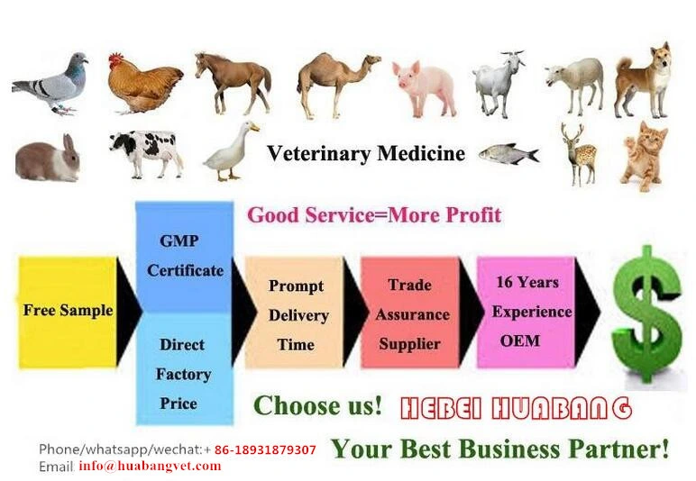 Broad Spectrum Antibiotic Drugs Oxy Injection 10% for Cattle