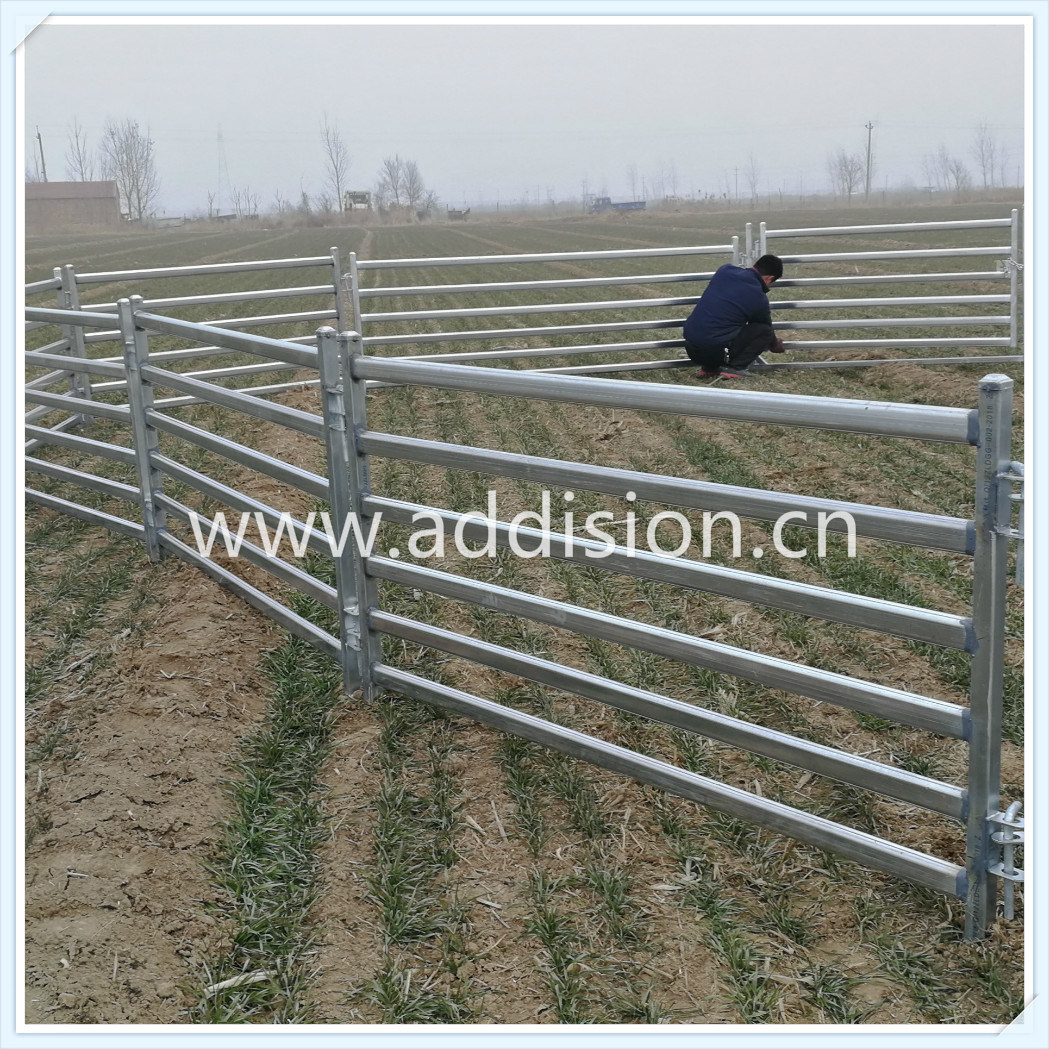 Livestock Equipment Cattle Feeder Cattle Horse Fence Panel Sheep Panel