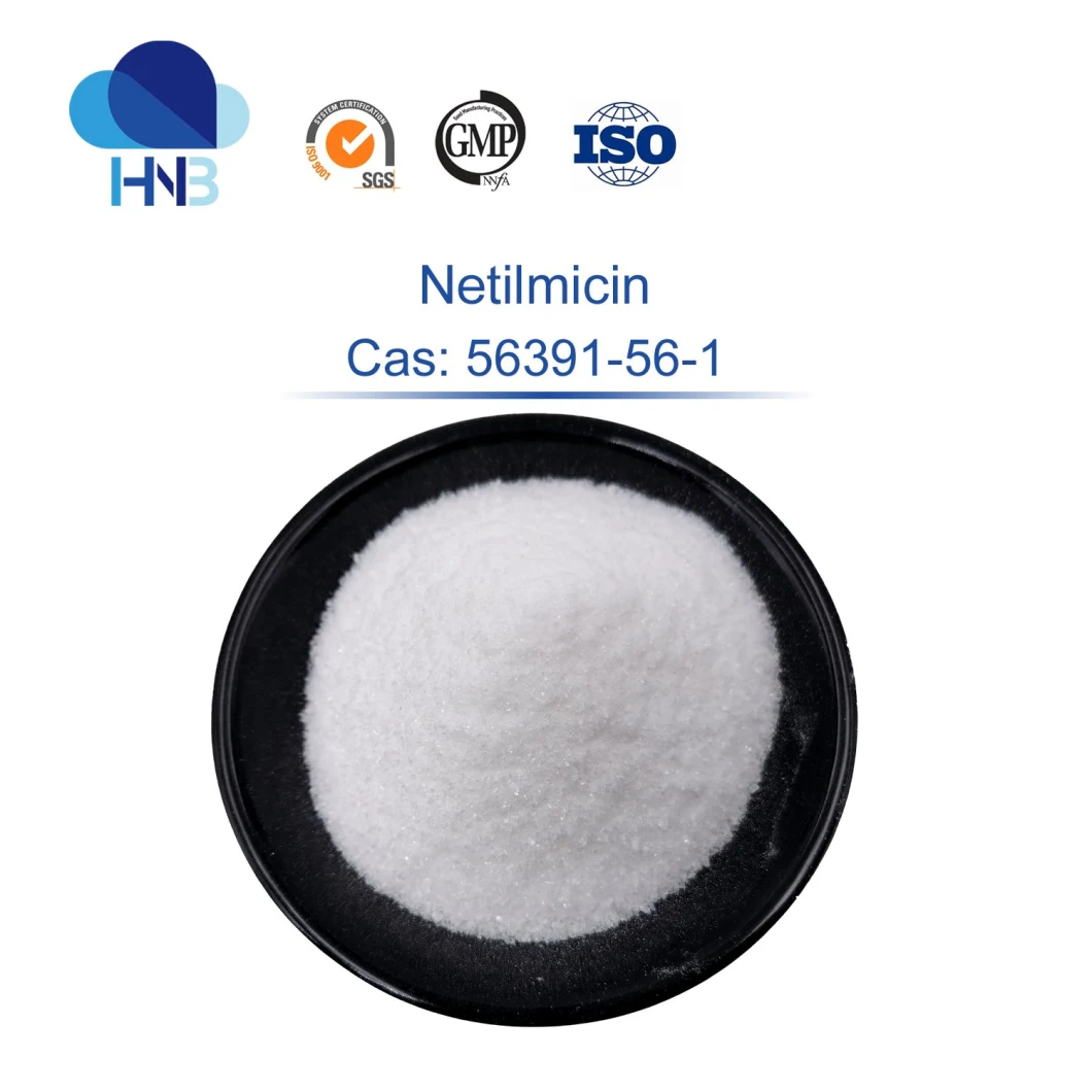 GMP Antibiotics Certomycin Powder 56391-56-1 with Honest Price 99% Netilmycin
