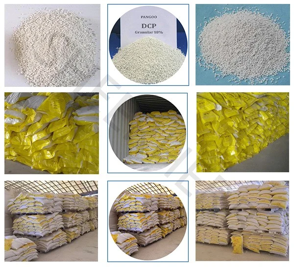 Diammonium Phosphate (DAP) Monocalcium Phosphate (MCP) Dicalcium Phosphate (DCP) for Best Price