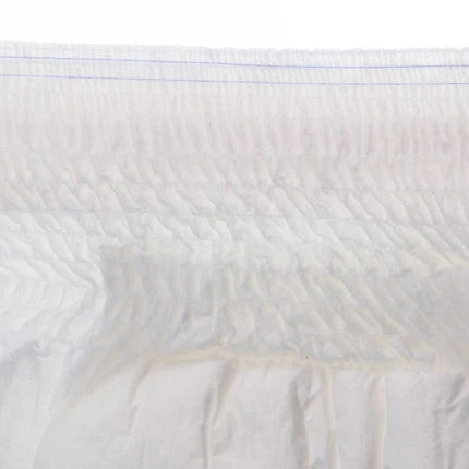 Adult Pants Diapers, Overnight Comfort Absorbency, Leak Protection
