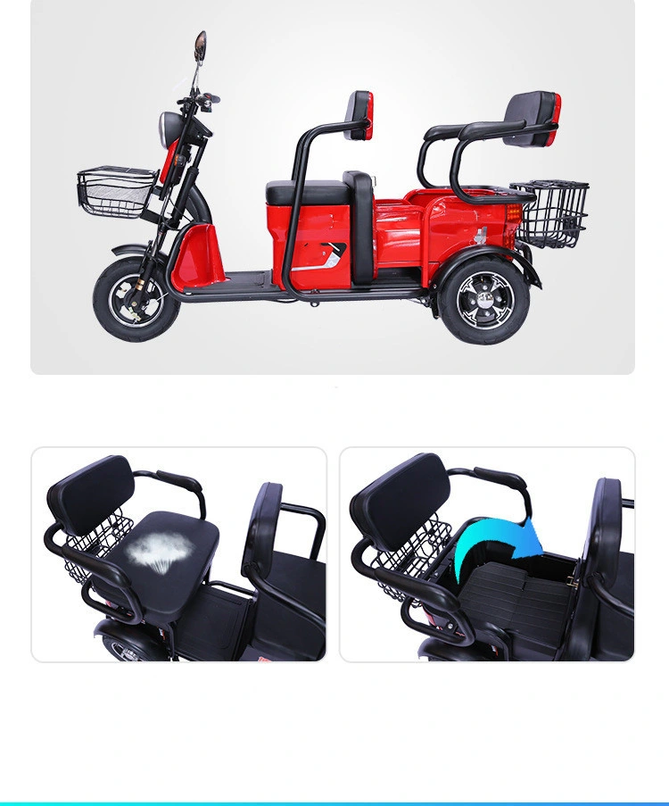 60V Adults Pull Goods Carry People Triathlon Bike Cargo Tricycle
