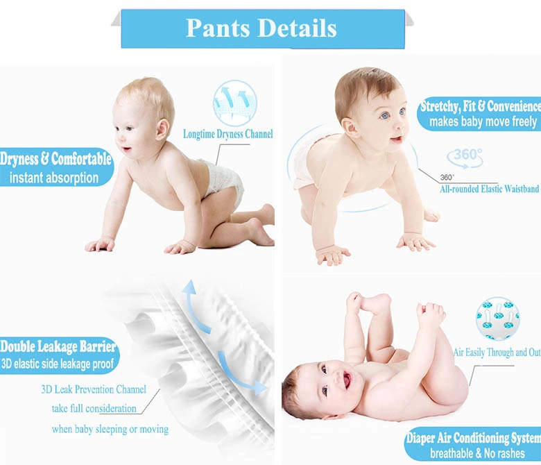 Best Tender and Care Lovely Diaper Brands Baby Diaper Importer Training Pants China Supplier