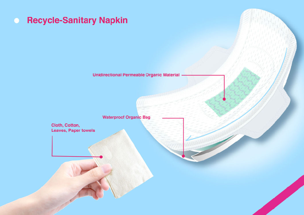 240mm Cotton Lady Sanitary Pad Day Use Cotton Sterile Sanitary Pad for Women