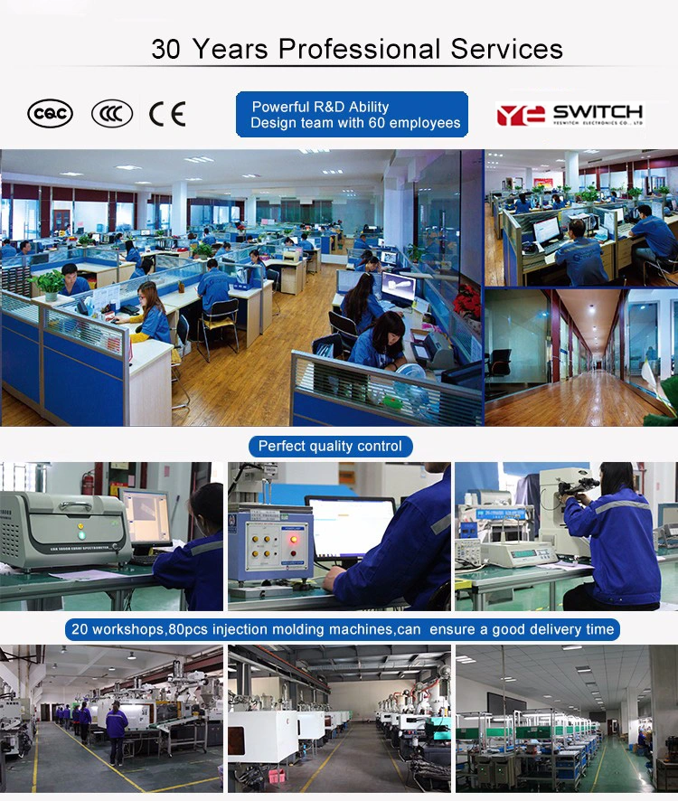 Taiwan Factory Supply Micro Switch with High Quality Competitive Price