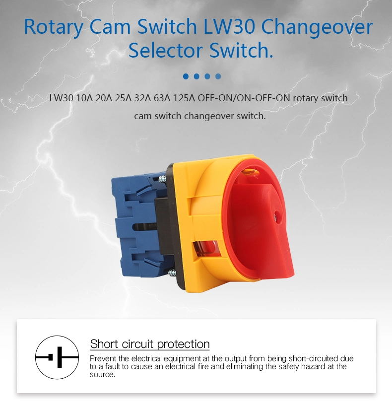 Lw30 Rotary Switch Isolator Switch/ Cam Switch/ Selector Switch/ Changeover Switch