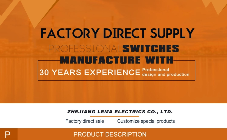 Factory Price Lema Kw7-5I2 Grey Actuator Bent Lever Micro Switch