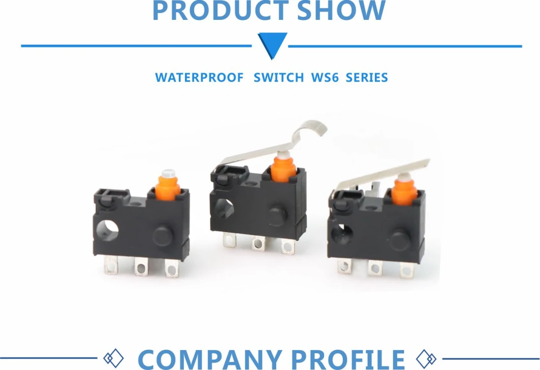 Switch Over Travel More Than 2mm Waterproof Switch