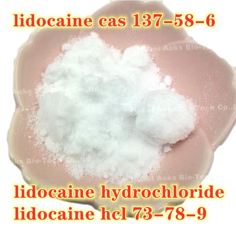 China Supplier Anesthetics CAS 137-58-6 Lidocaine with Fast and Safe Delivery