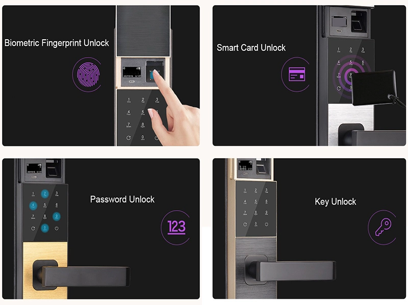 Digital Electronic Fingerprint Magnetic Combination Safe Handle Smart Door Lock