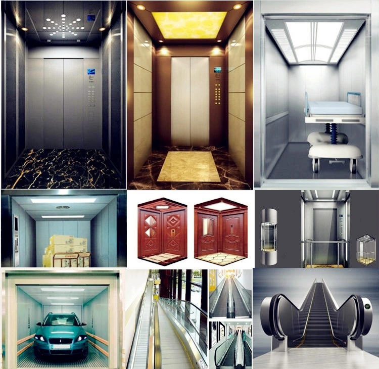 Ce Eac Certified Safe and Smooth Running Passenger Elevator