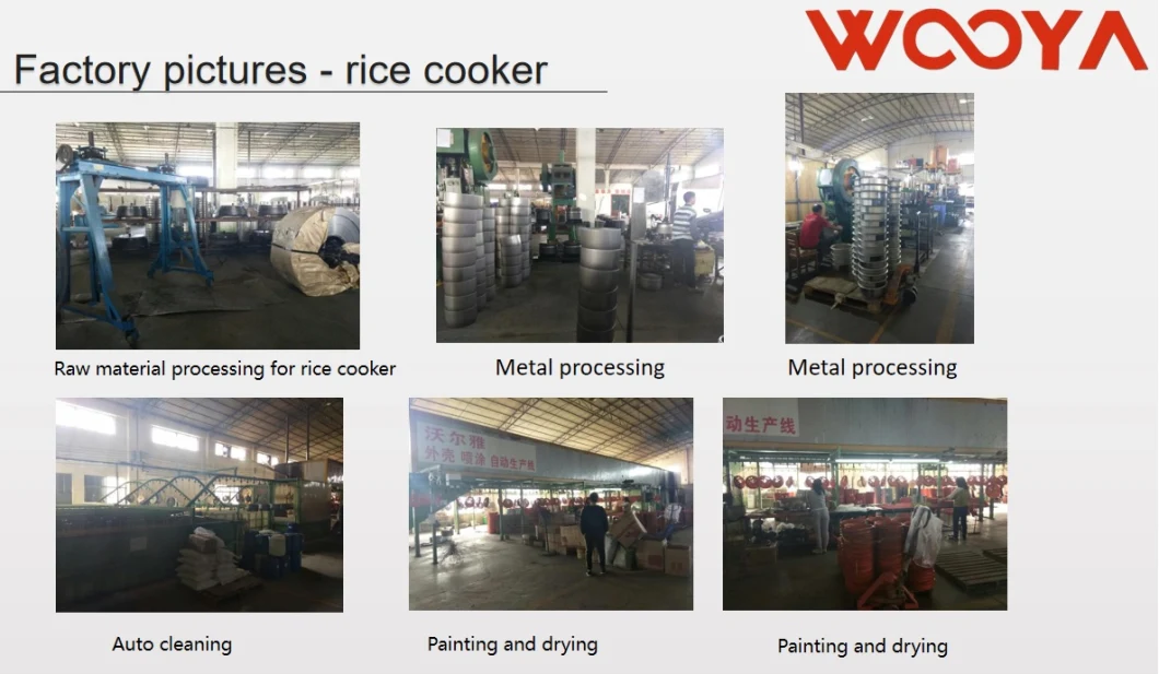 Electric Kitchen Equipment Cooking Multiple Kinds of Foods with Steaming, Soup, Stew, Cake, Rice Cooking Programs