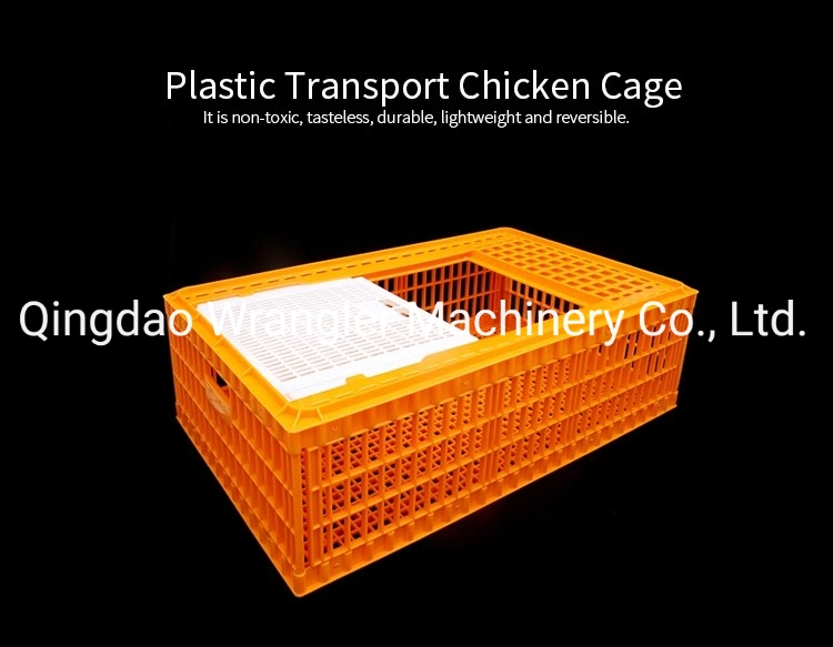 Turnover Plastic Poultry Cage Box / Chickens Cages to Transport