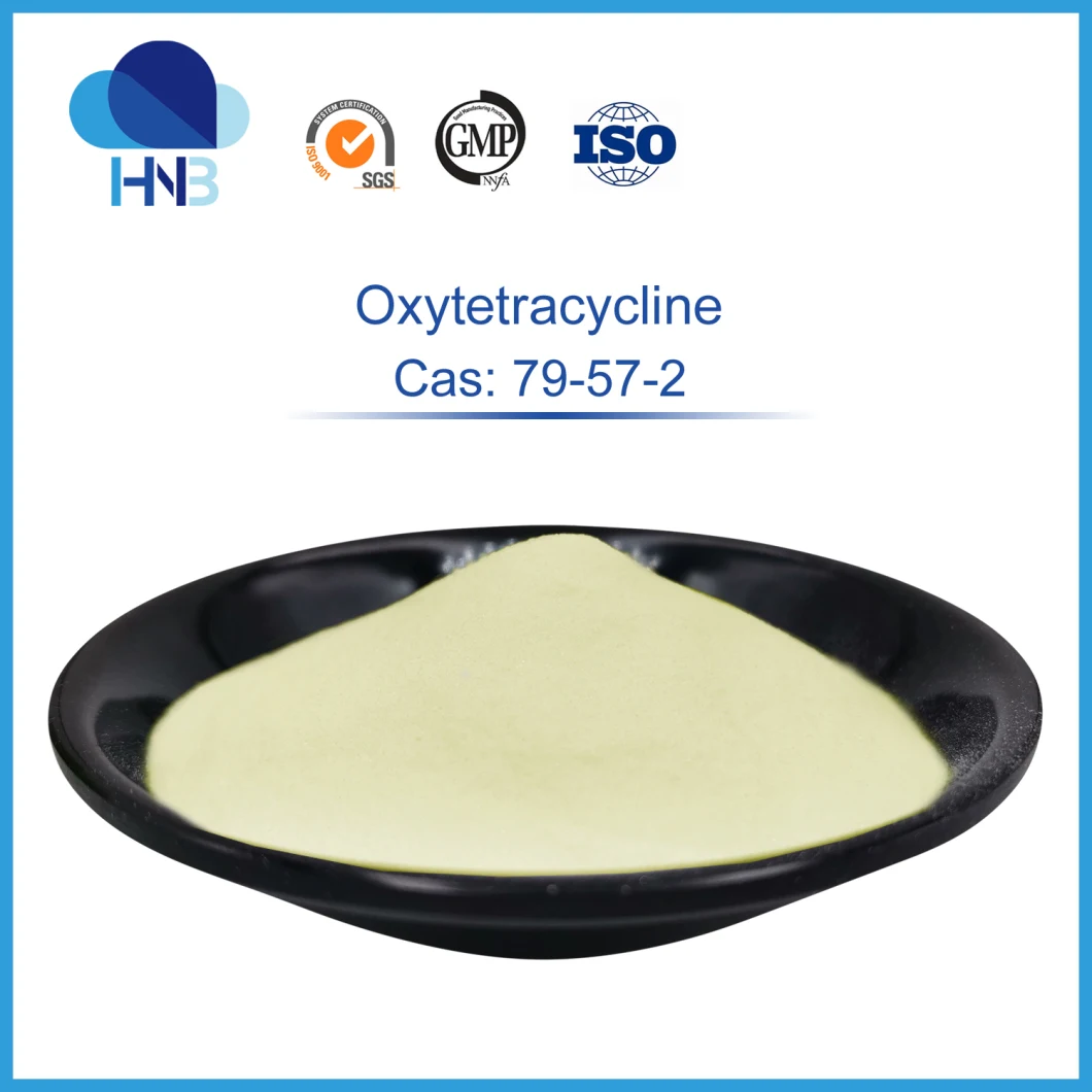 CAS: 79-57-2 Oxytetracycline Powder