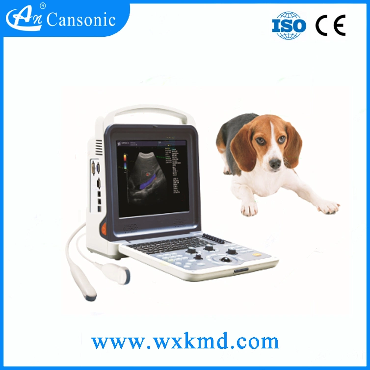 Hot Sales Portable Vet Ultrasound Scanner (K6 vet)