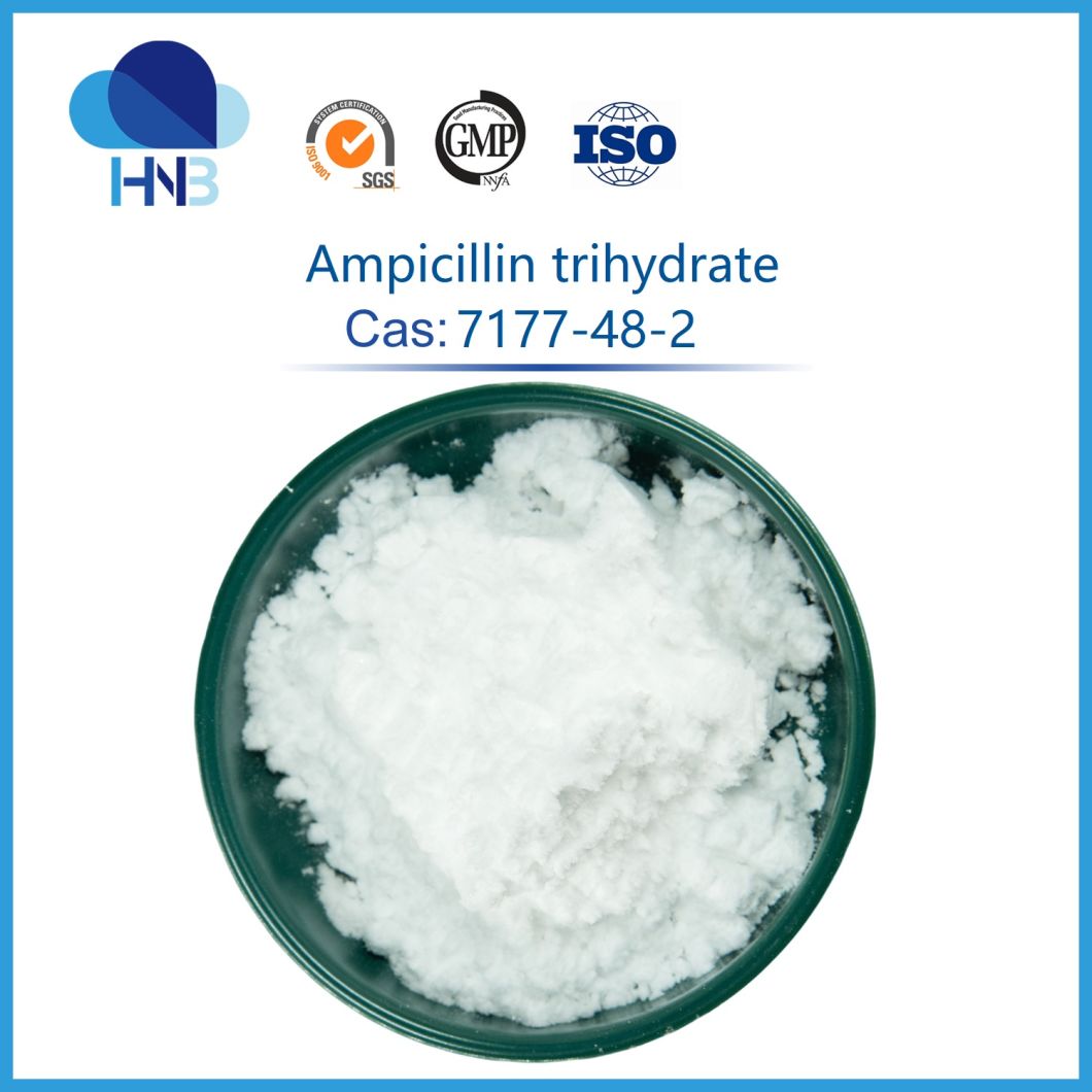 7177-48-2 Veterinary Medicine Raw Powder Bp/Ep/USP 99% Ampicillin Trihydrate Ampicillin
