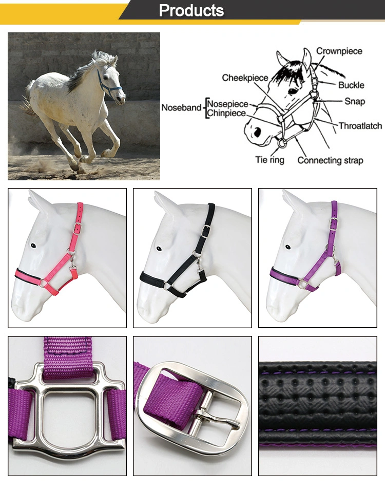 Horse Riding Equipment Equestrian, Nylon Horse Halters for Horse Racing