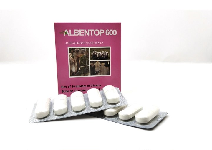 Veterinary Drugs of Albendazole Bolus 2500mg