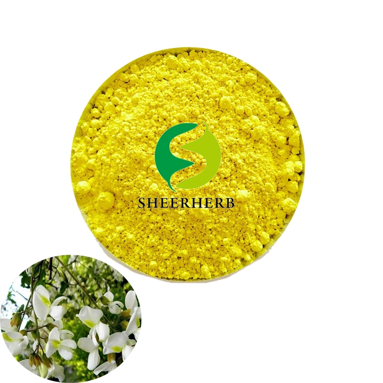 Professional Supply of 95% Quercetin Dihydrate CAS 6151-25-3, Chinese Herbal Medicine Extract Quercetin Dihydrate Powder