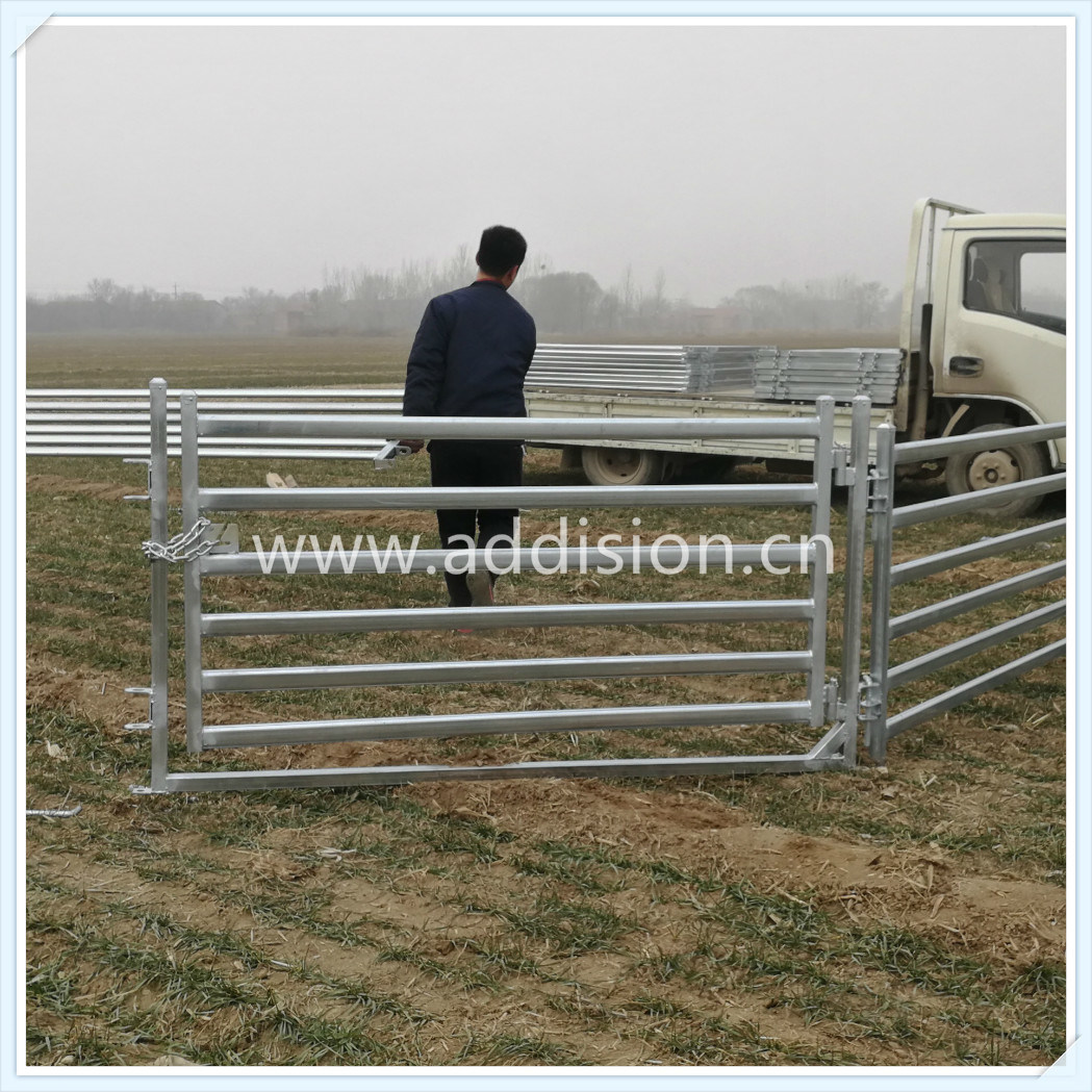 Oval Cattle Fence Cattle Horse Fence Panel Sheep Yard Panel