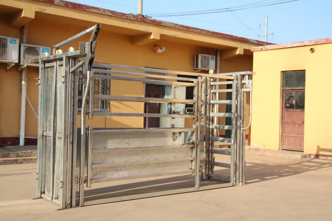 Cattle Crush Cattle Squeeze Chute Cattle Scale (XMM-CRUSH)