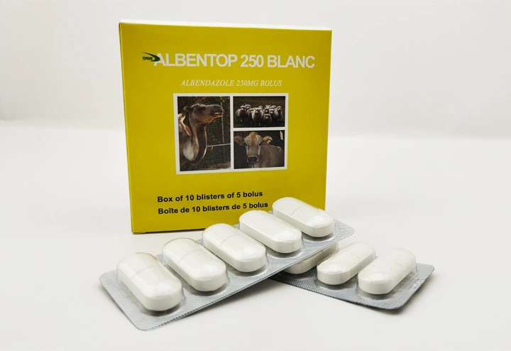 Veterinary Drugs of Albendazole Bolus 2500mg