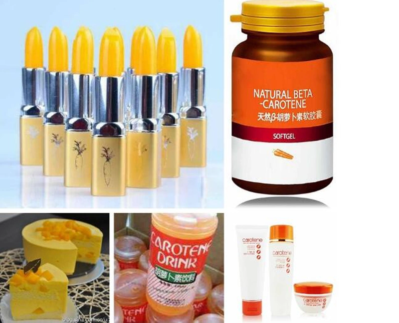 Organic Carrot Root Extract Powder, Water Soluble Beta Carotene Powder at Factory Price