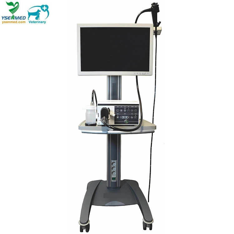 Ysnj-330vet-M Medical Integrated 3.3m Veterinary Vet Pet Video Endoscope