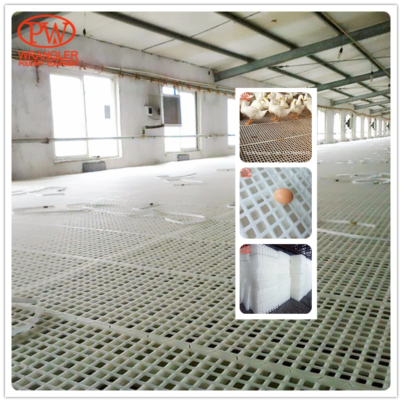 ^Poultry Farm Modified Plastic Slatted Floor for Birds/Poultry/Chickens