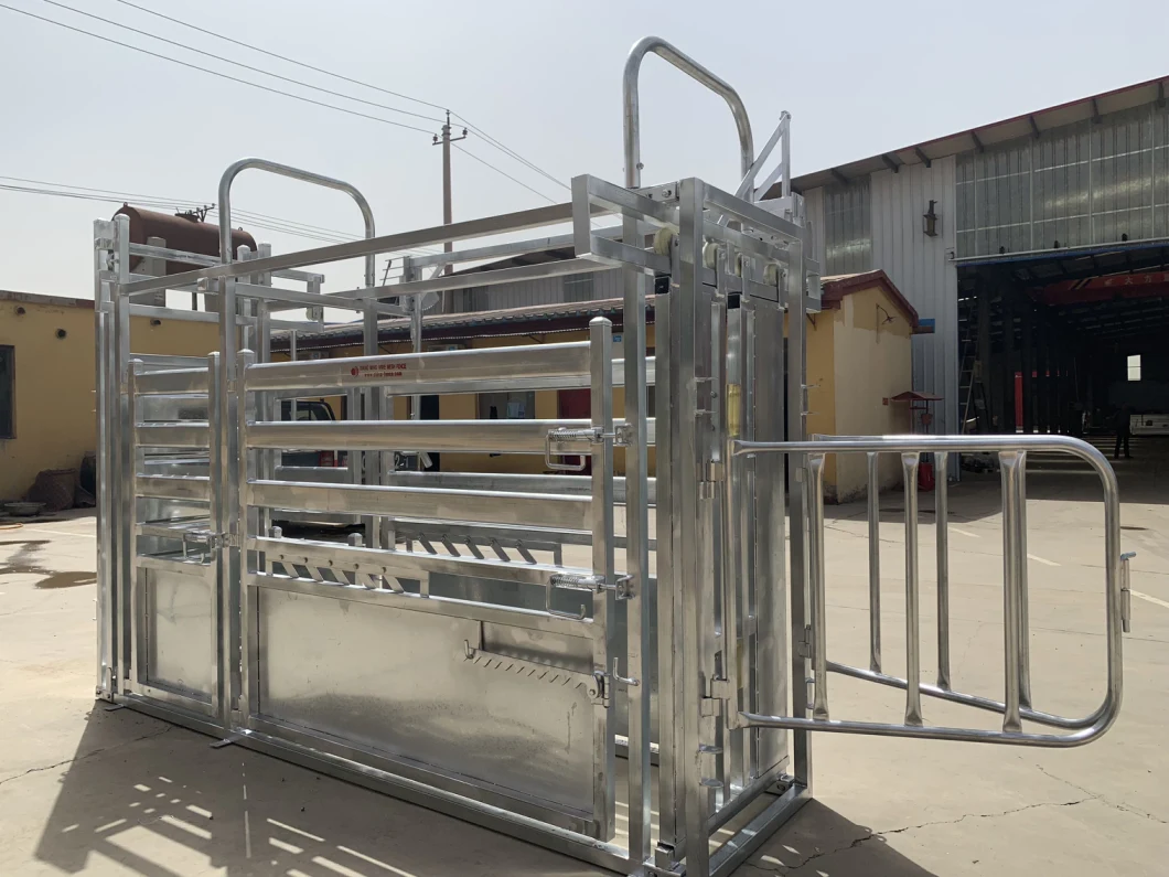 Cattle Crush Cattle Squeeze Chute Cattle Scale (XMM-CRUSH)