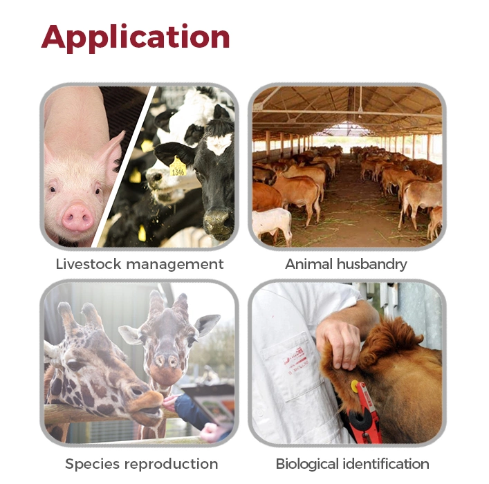 High-Quality Identification Tracking Tags for Sheep/Pigs RFID Animal Ear Tag