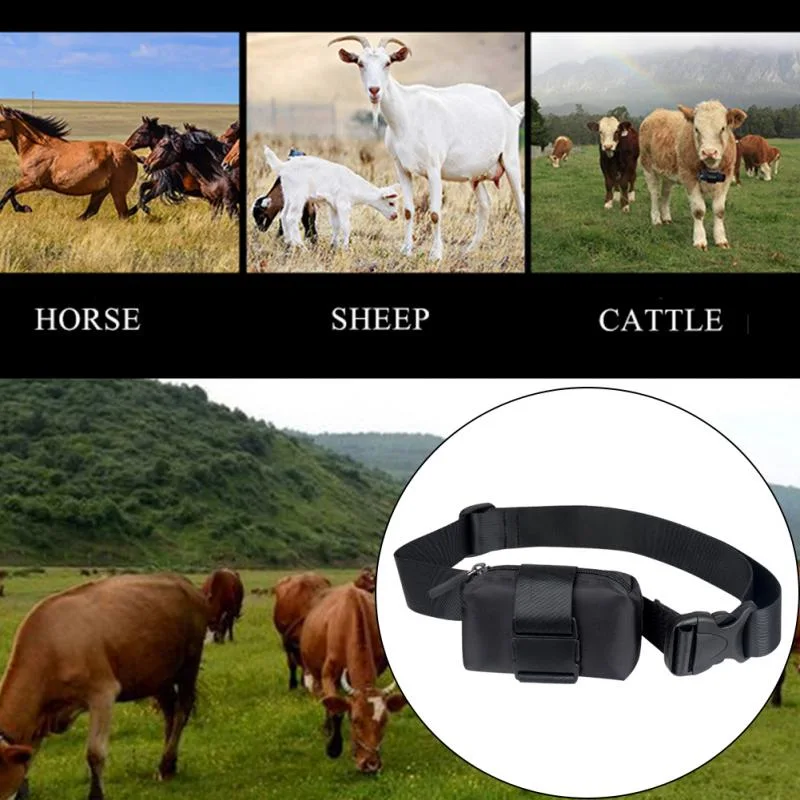 Waterproof GPS Tracker Collar for Pigs Cattle Sheep Horses