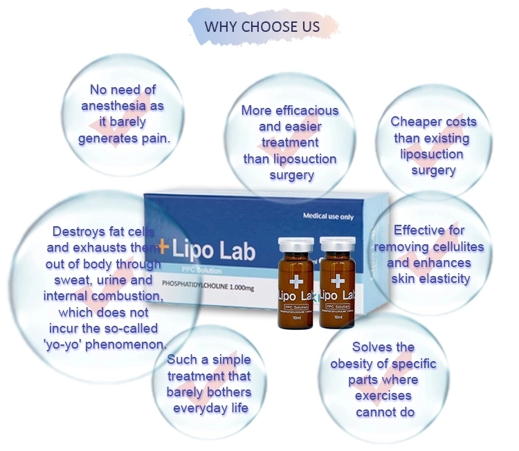 Korea Lipo Lab Ppc Lipolytic Solution Injectable Lipolysis Slimming Solution Injection for Melting Subcutaneous Fat