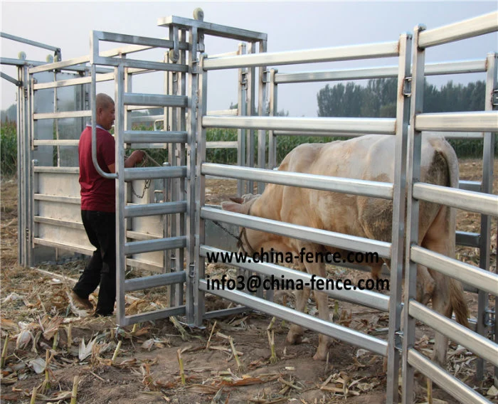 Hot Sale Cattle Panel Cattle Crush Cattle Loading Ramp for Australia