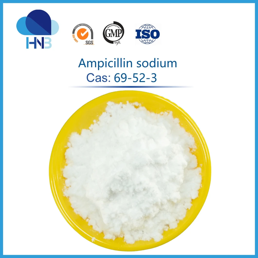 69-52-3 Veterinary Medicine Injectable Raw Powder 99% Ampicillin Sodium
