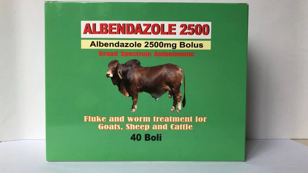 Albendazole Bolus GMP Manufacturering Albendazole 300mg 600mg 2500mg