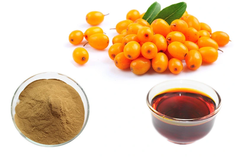 100% Water Soluble Organic Pure Natural Sea Buckthorn Fruit Extract Powder, Seabuckthorn Freeze Dried Powder