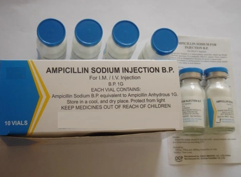 1g Western Medicine High Quality Ampicillin Sodium GMP