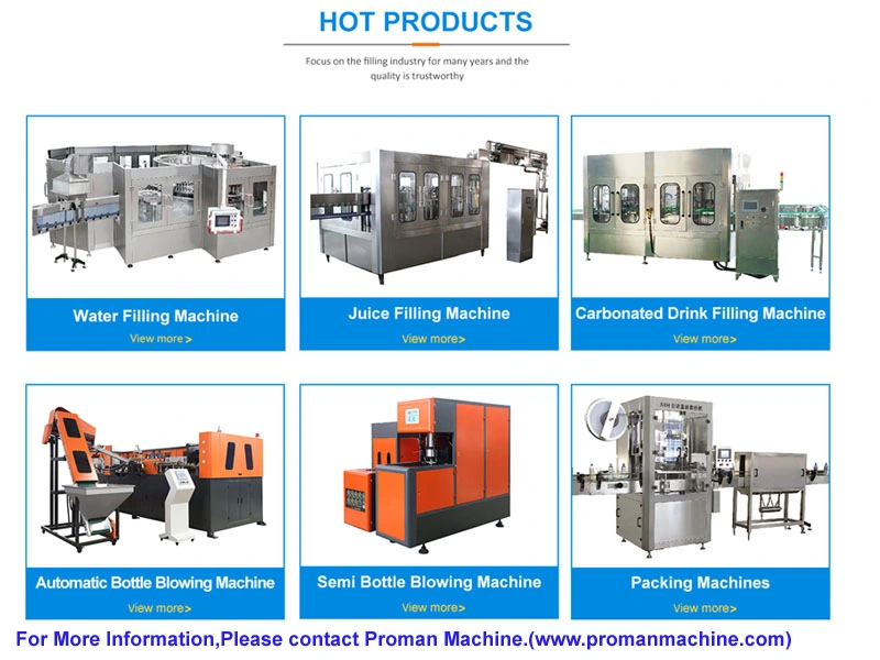Automatic Bottle Filling Machine/Liquid Bottle Filling Machine