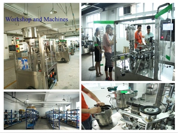 Automatic Oral Liquid Filling and Capping Machine Zhgx-100