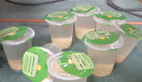Juice Cup with Particle Filling Sealing Machine for Powder/Liquid/Granule/Semi Liquid