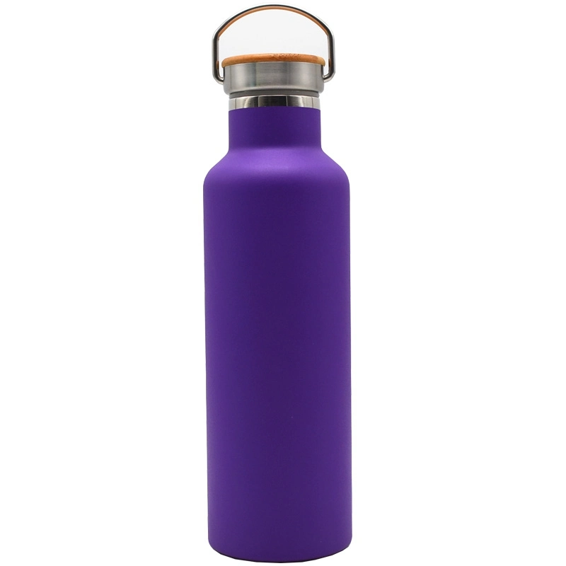 750ml Bullet Shaped Flask Double Wall Stainless Steel Insulated Bullet Vacuum Flask