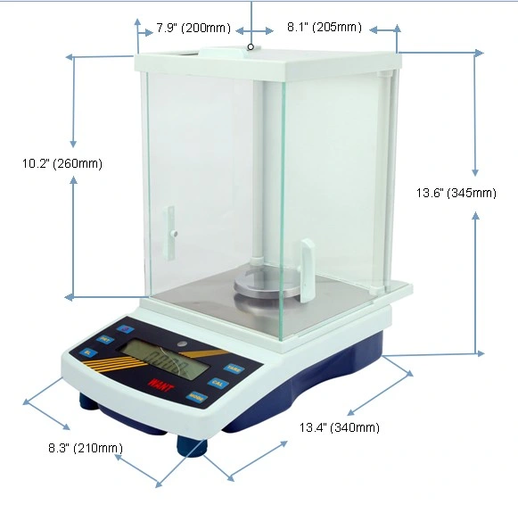 300g 0.001g Laboratory Weighing Scale with Overload Protection