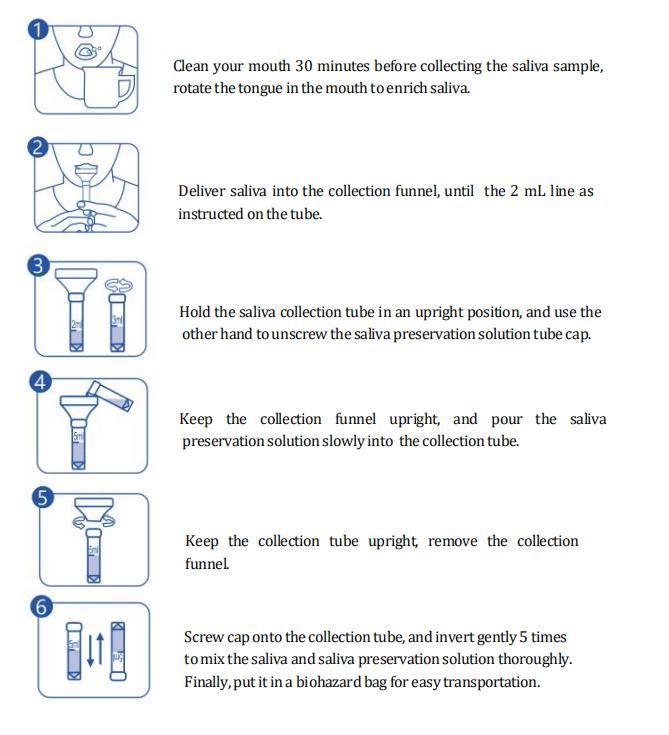 Saliva Funnel Cheap Price Sampling DNA Drug Test Saliva Collection Funnel